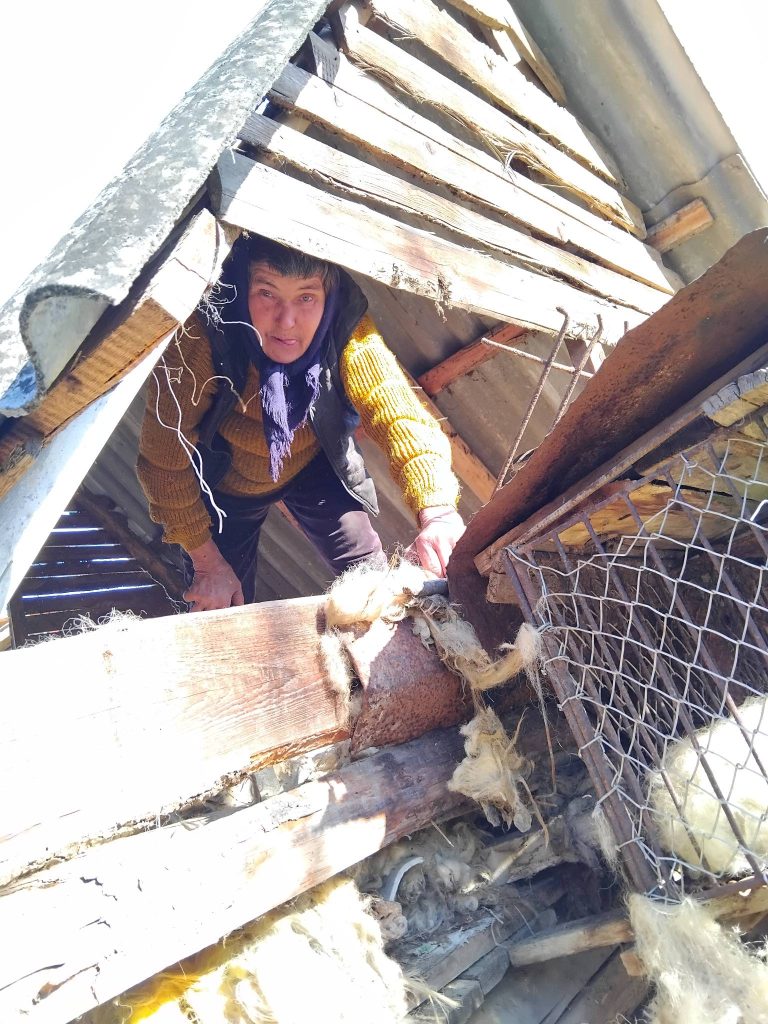 Satul românesc nu moare – renaște!