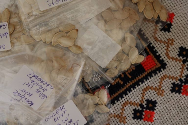 De ce avem nevoie de bănci comunitare de semințe?