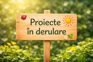 Proiecte BUNETI în derulare