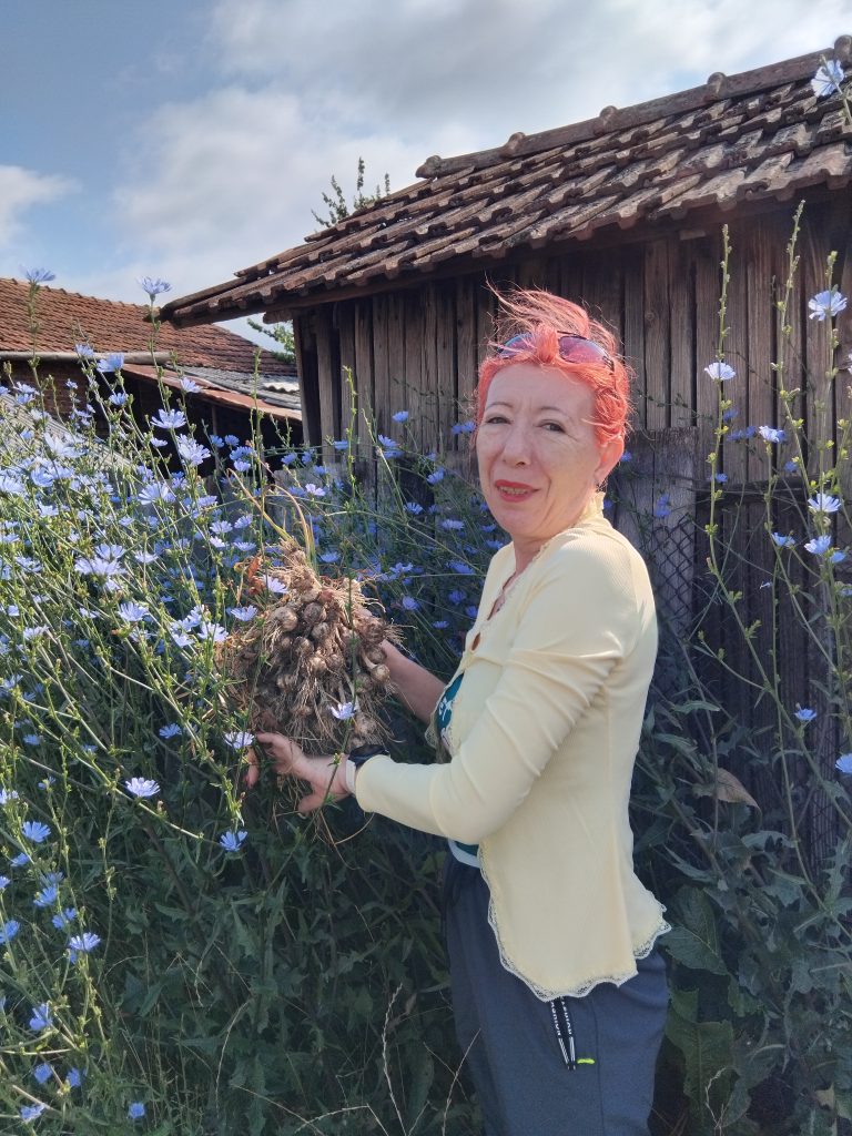 August în gospodărie